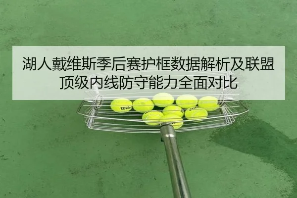 湖人戴维斯季后赛护框数据解析及联盟顶级内线防守能力全面对比