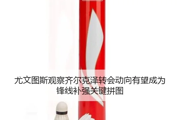 尤文图斯观察齐尔克泽转会动向有望成为锋线补强关键拼图
